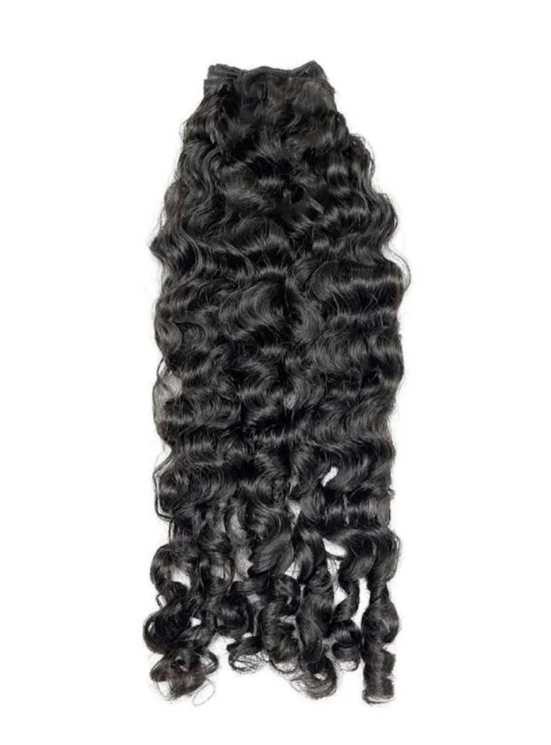 BURMESE CURLY